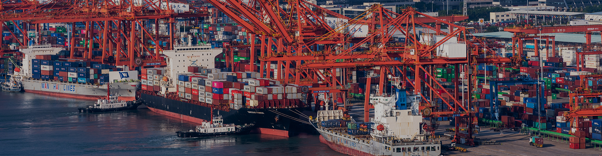 ������Ǯ������(�й���)�ٷ���վ